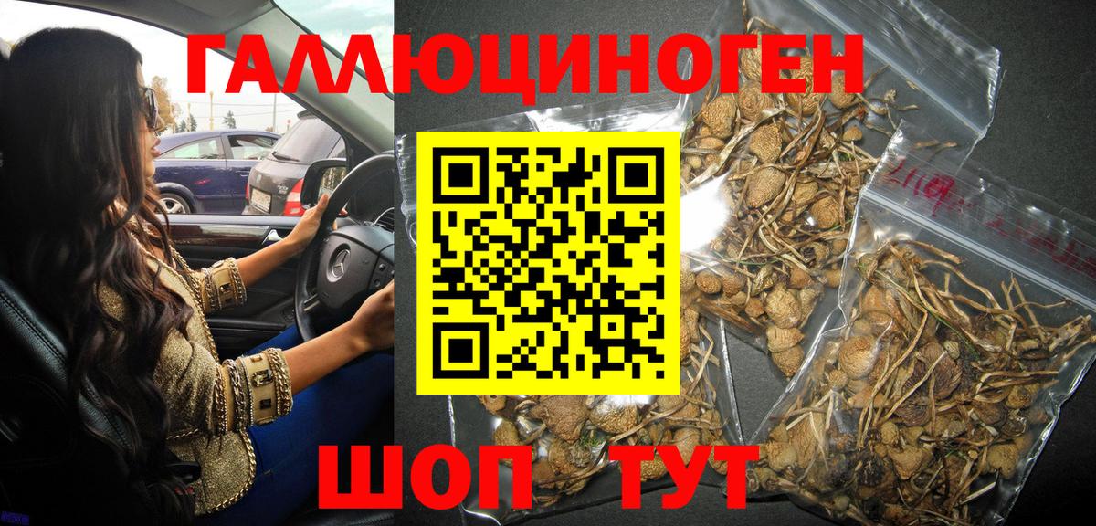 Галлюциногенные грибы мухоморы Санкт-Петербург