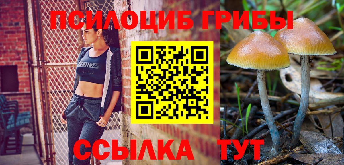 Санкт-Петербург  где купить наркотик  Псилоцибиновые грибы мухоморы  Вход с VPN  Псилоцибиновые грибы GOLDEN TEACHER 